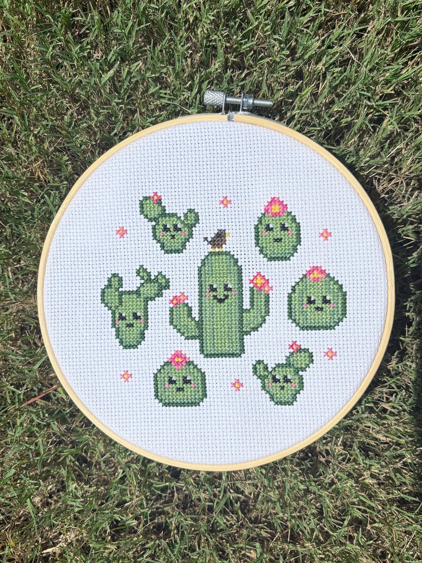 Cactus Cross-stitch Kit